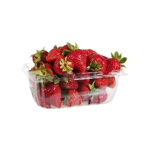 frutilla pote